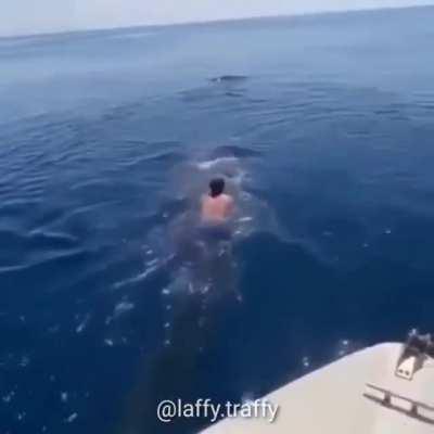 Título foi montar num animal