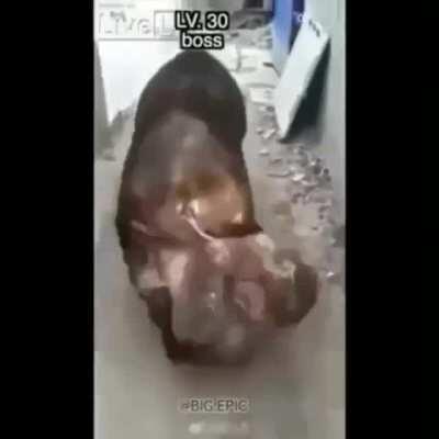 Boys on day 1 of NNN vs. on last day of NNN