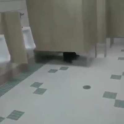 McDonald bathroom freakout ugghhh?!!!