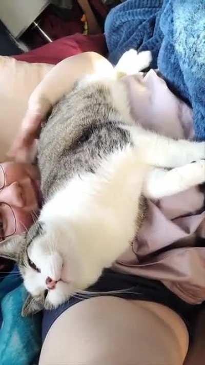 you need the sound up for this one!