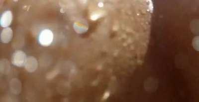 Wish I was the camera