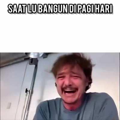 What can I say, I'm survivin'. Crawling out these sheets to see another day.