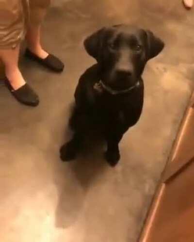 DylanteroYT - Video #2915