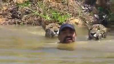 Парень встретил двух кисок