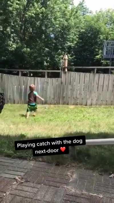 Забор не помеха