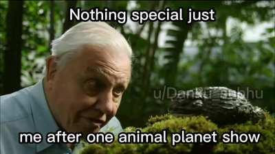 An expert since 1 hour!!