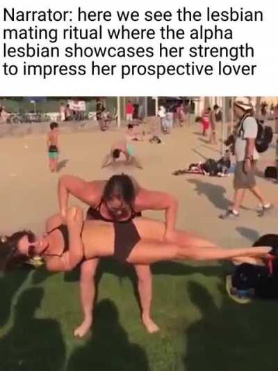 aah, so THIS is how it works!