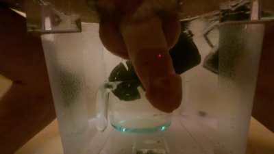 Trying out a new view, cumming hard with my jet