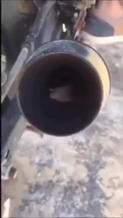 what the mouse doing