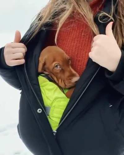 He got so cozy in there