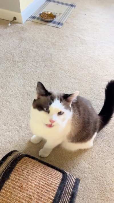 No thoughts, just yell