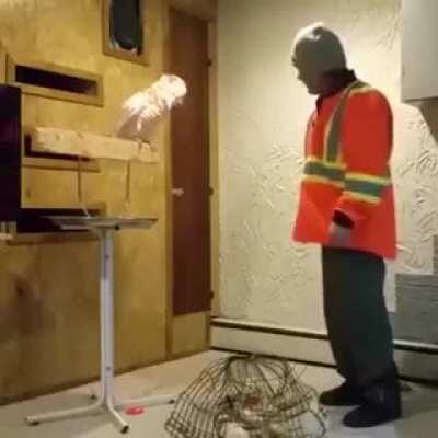 Don't like the cage.