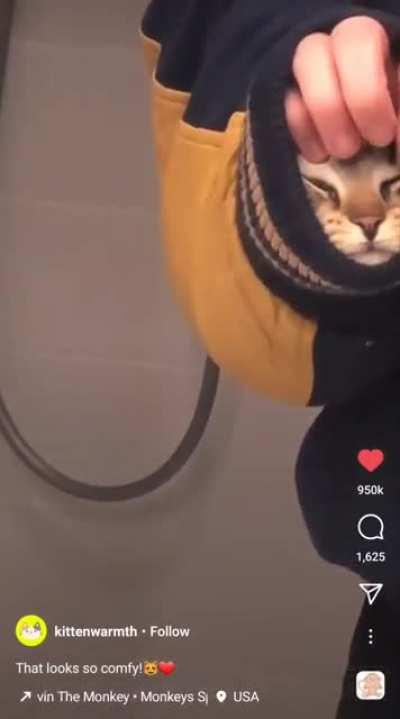 Tight, soft and comfy(?) Pussy