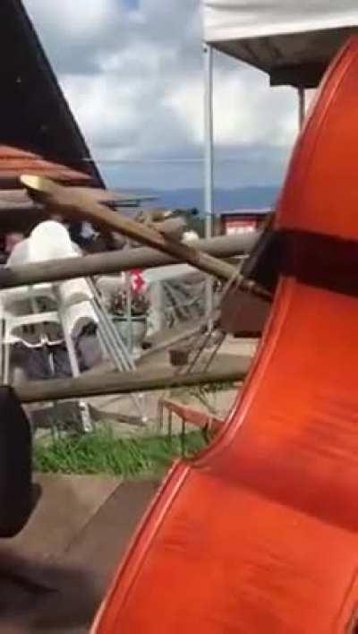Bird hangs out on cello bow while musician plays