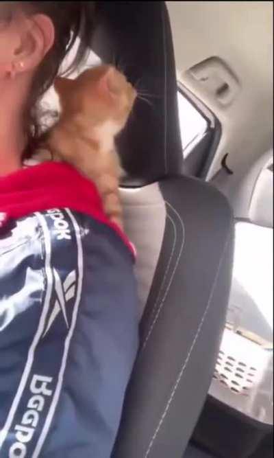 they're talking to each other