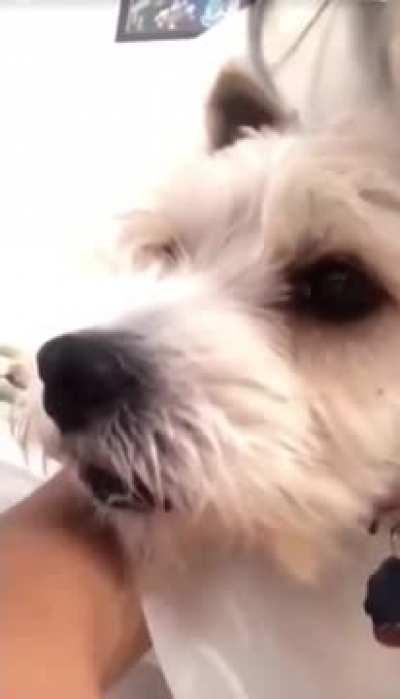 this year explained within 15 seconds