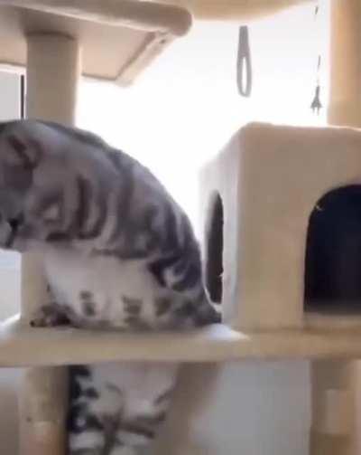 Too fat for the opening