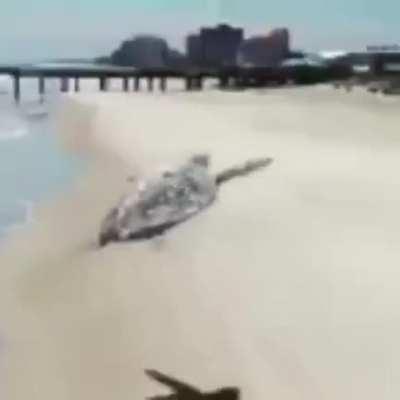 Expliquem isso ateus😠