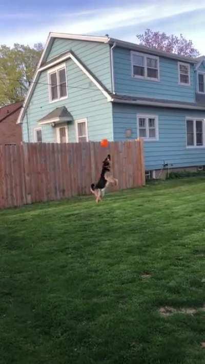 This is the longest he’s had it up yet.