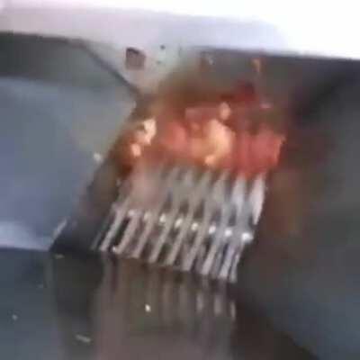 What happens to male baby chickens in an egg factory