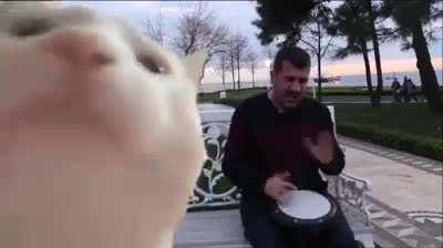 rule 3 eclectic boogaloo