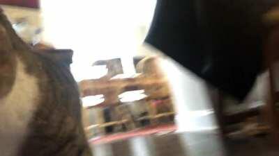 POV: you’re a leg walking through my apartment