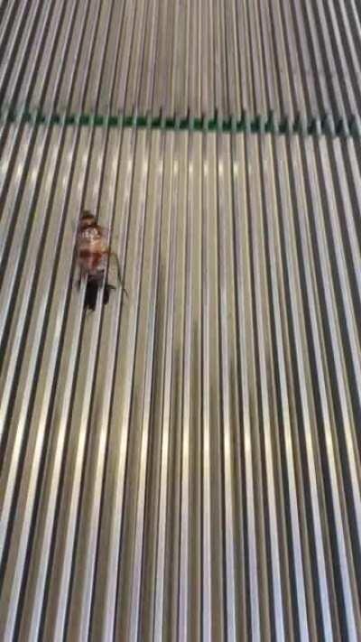 Some say he's still running