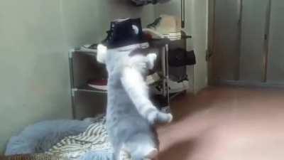 How to get up working out