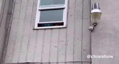 Journalist found women that yelled racist remarks in Seattle