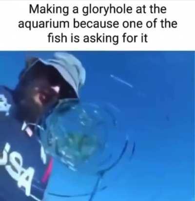 le fish