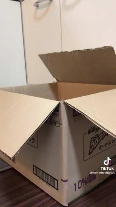 Extreme Airplane ears