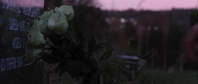 This is my music video on Des Rocs Used To The Darkness