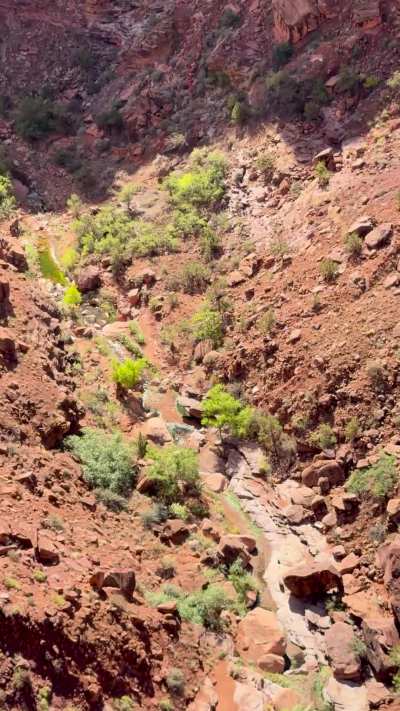 Makes you feel butterflies by just watching it