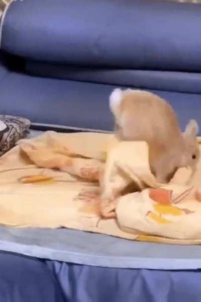 jump forward, fall back, and take a nap. everything is planned... :)