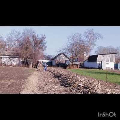 Hi Reddit!!! It's already the beginning of spring and in the peaceful part of Ukraine (including my home), work has begun on preparing the gardens for cultivation.