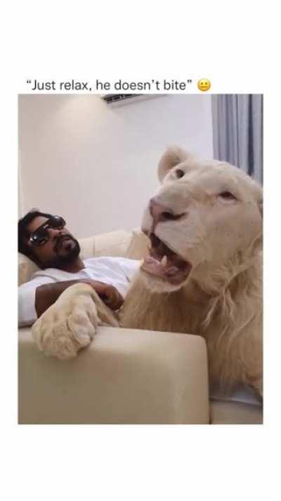 Owning a ‘pet’ capable of killing an entire village