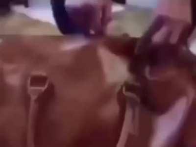 I don't wish to be horny anymore I wish to be happy