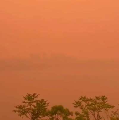 You hear/see this in your neighborhood. what do you do?