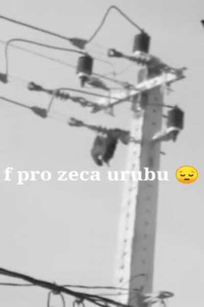 Somente F (créditos a o shit post brasil)