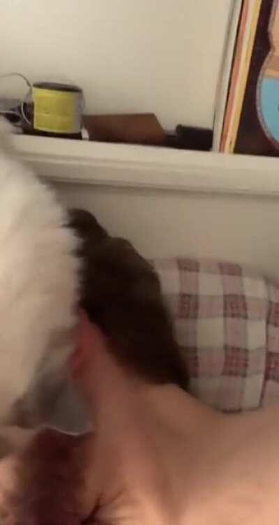 Every freaking day at 6 AM there’s no snooze on this alarm clock!