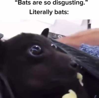 Batposting