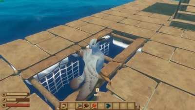 When the seagull says it wants to peck more..