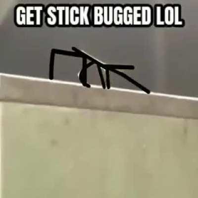 Haha get stick bugged Wait what...