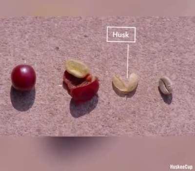 A Coffee Cup Made Of Coffee