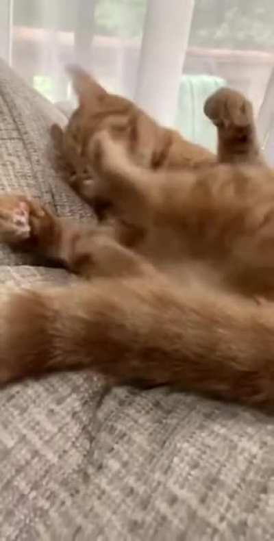 You've done this to yourself