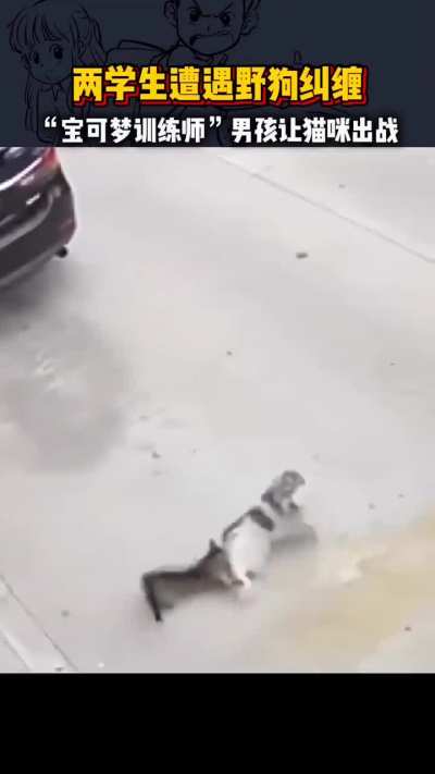 What’s That Pokémon?