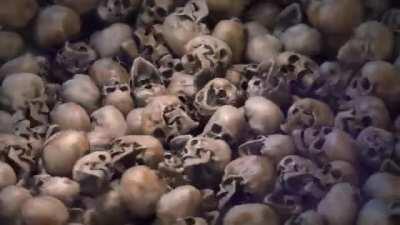 DootleDootDootDOOT! Crosspost from r/WTF, Meet-n-Greet by Tod Ryan