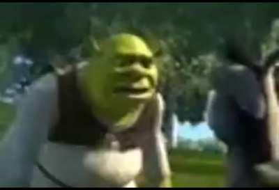 Russian Shrek is a bit too much angry