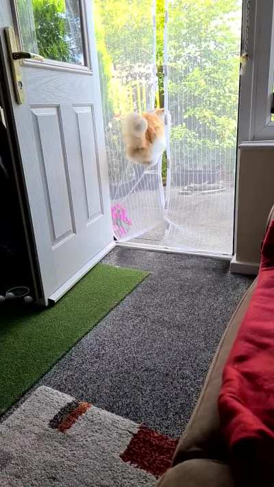 BEST EXIT STRATEGY EVER!!!