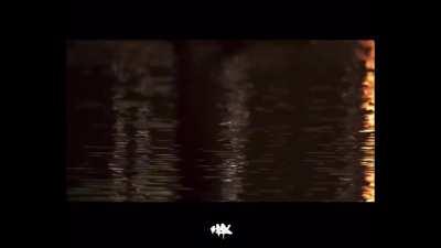 too easy live performance CDQ